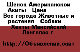 Шенок Американской Акиты › Цена ­ 35 000 - Все города Животные и растения » Собаки   . Ханты-Мансийский,Лангепас г.